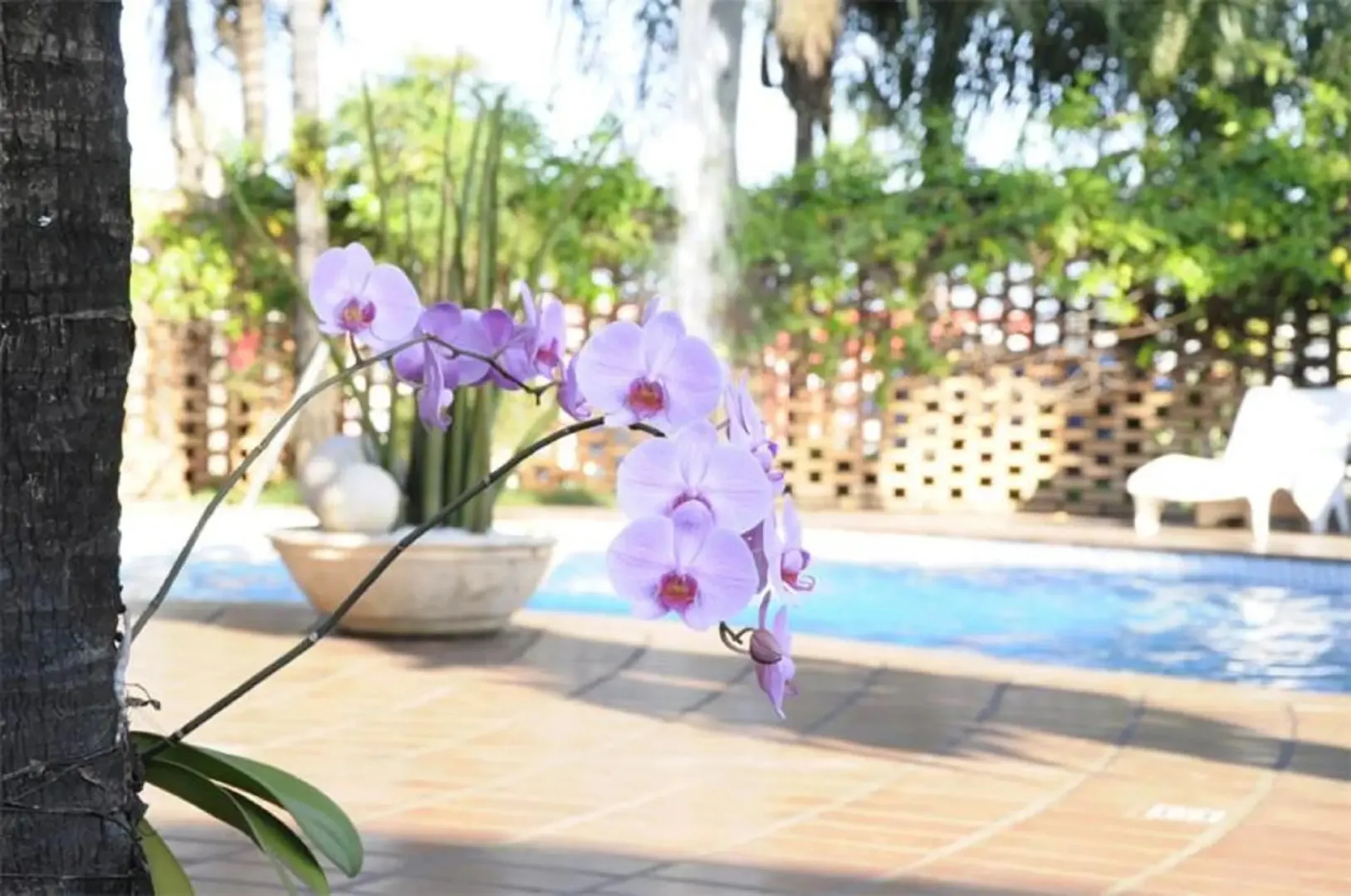 Hotel image 14