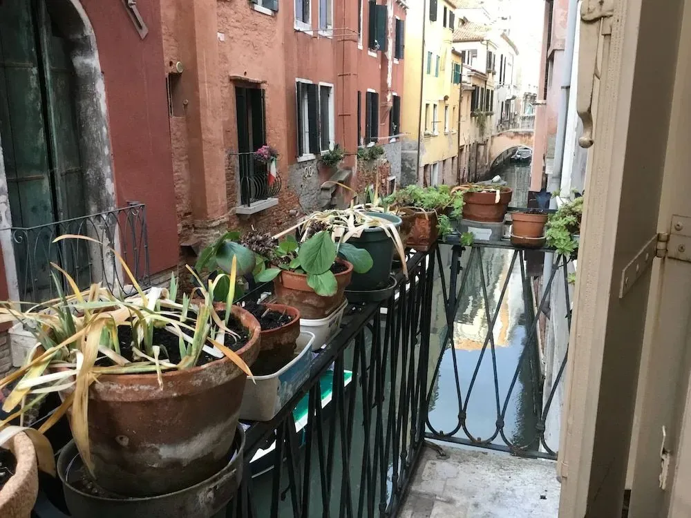 Hotel image 15