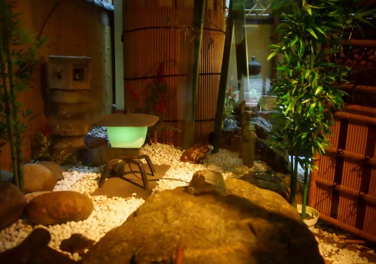 Hotel image 8