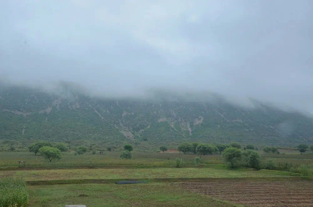Hotel image 12