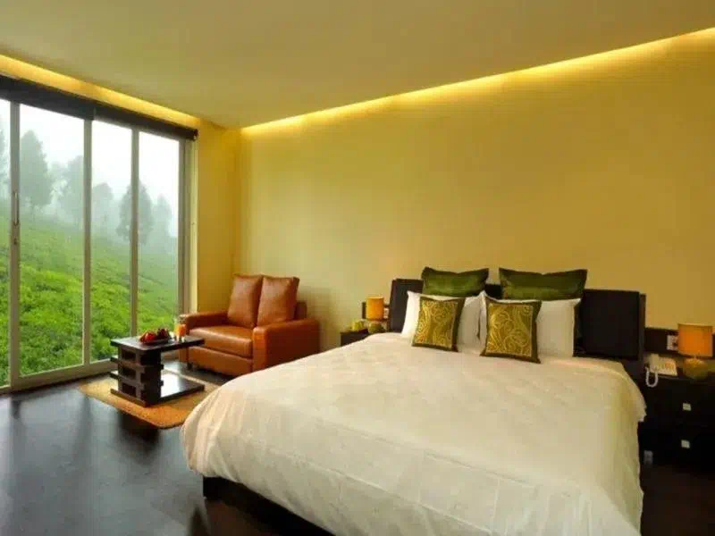 Hotel image 11