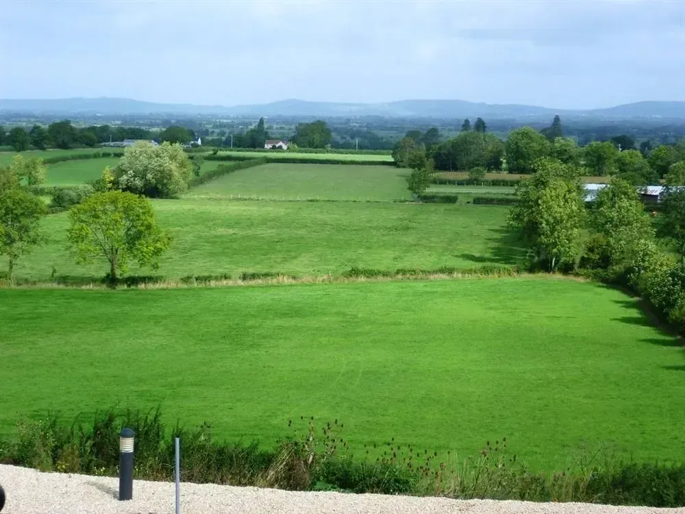 Hotel image 7