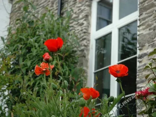 Hotel image 13