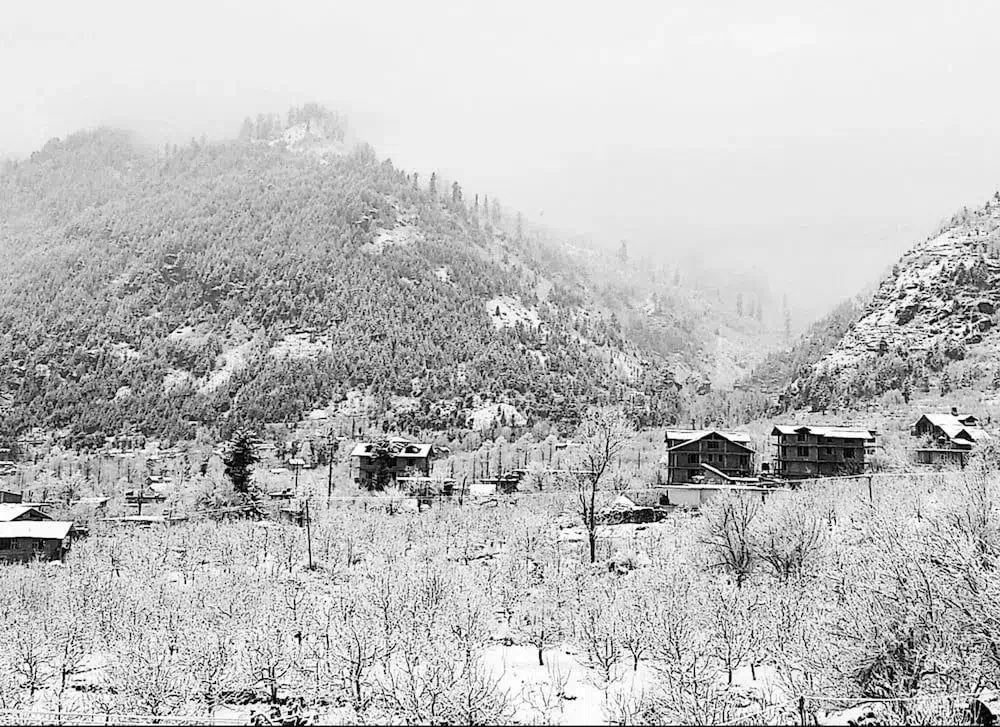 Hotel image 9
