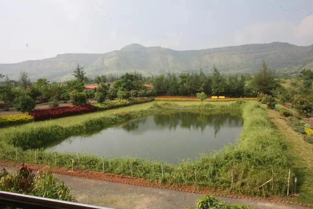 Hotel image 12