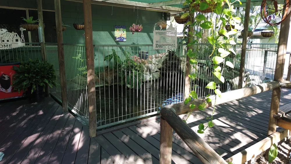Hotel image 13