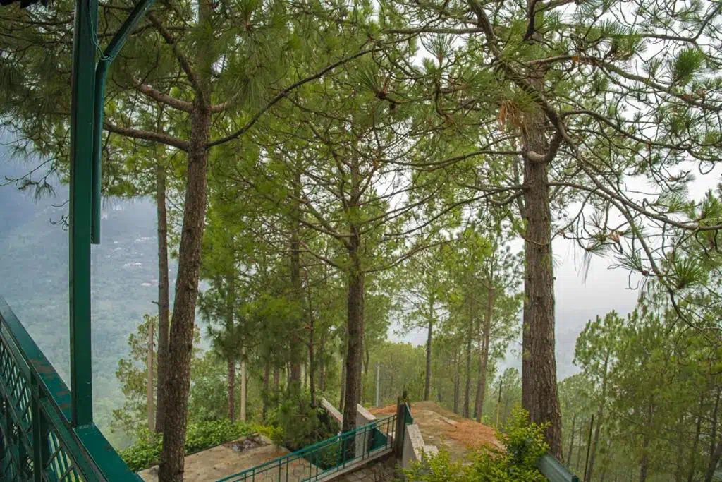 Hotel image 11
