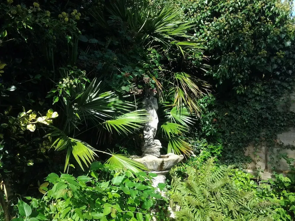 Hotel image 15