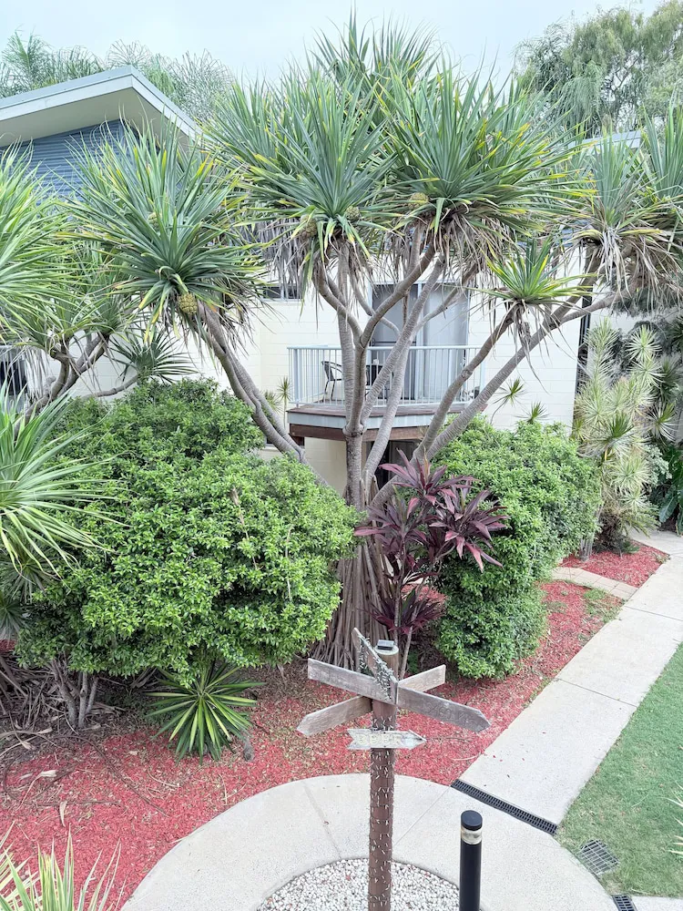 Hotel image 8