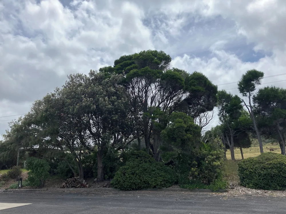 Hotel image 19