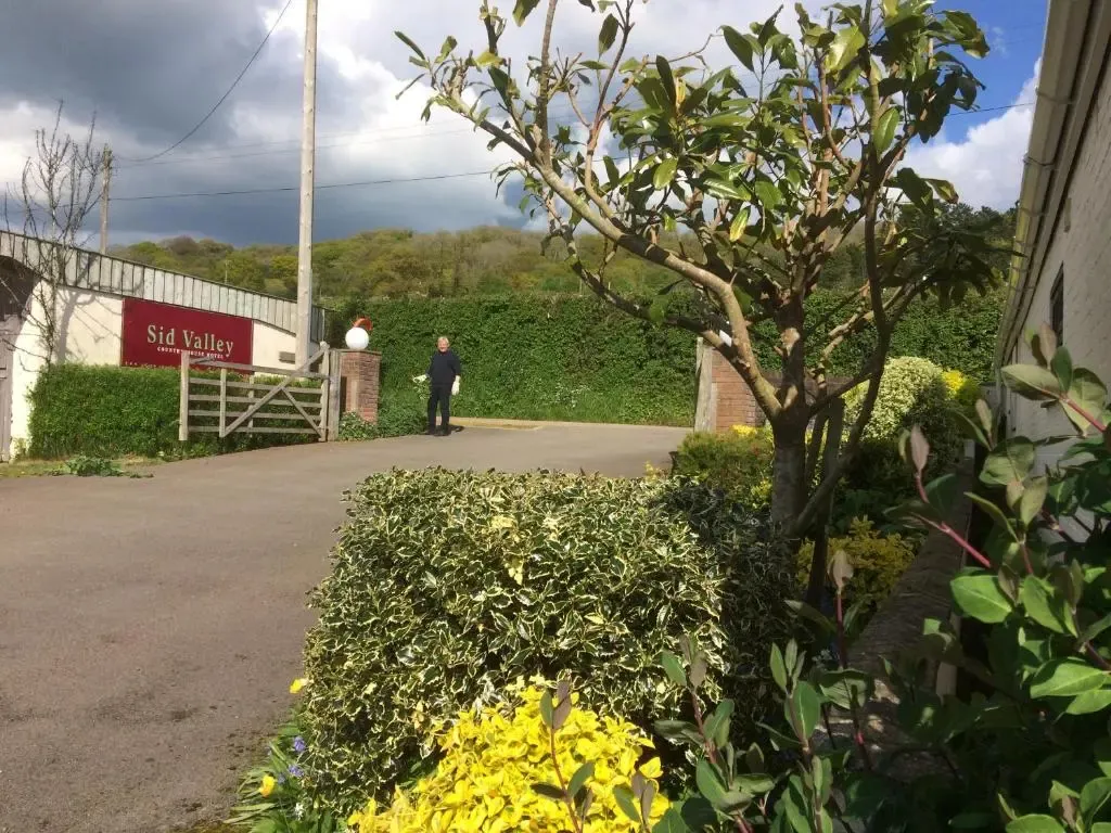 Hotel image 13