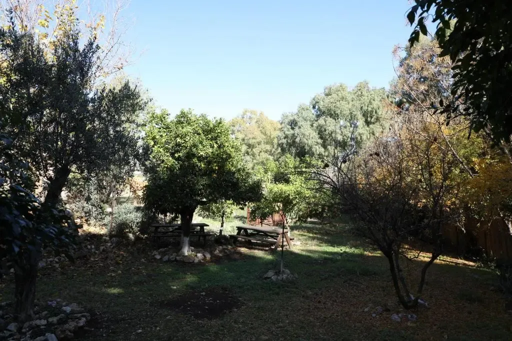 Hotel image 10