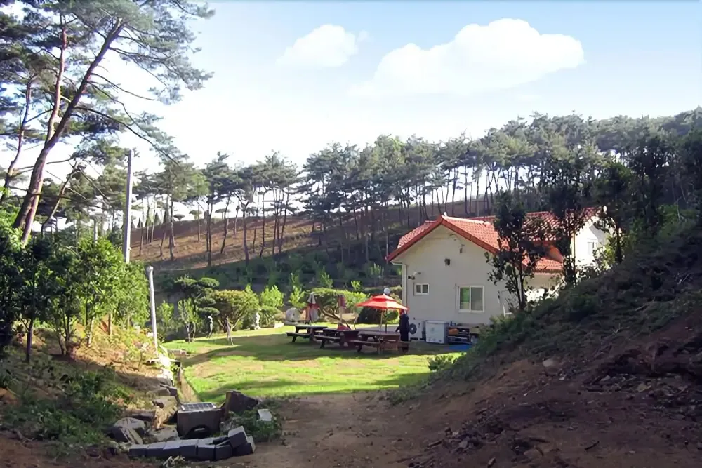 Hotel image 11