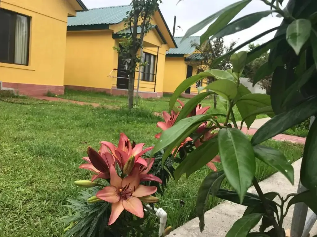 Hotel image 7