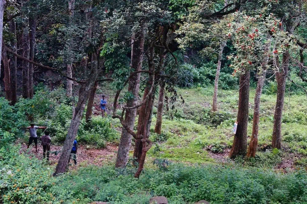 Hotel image 12