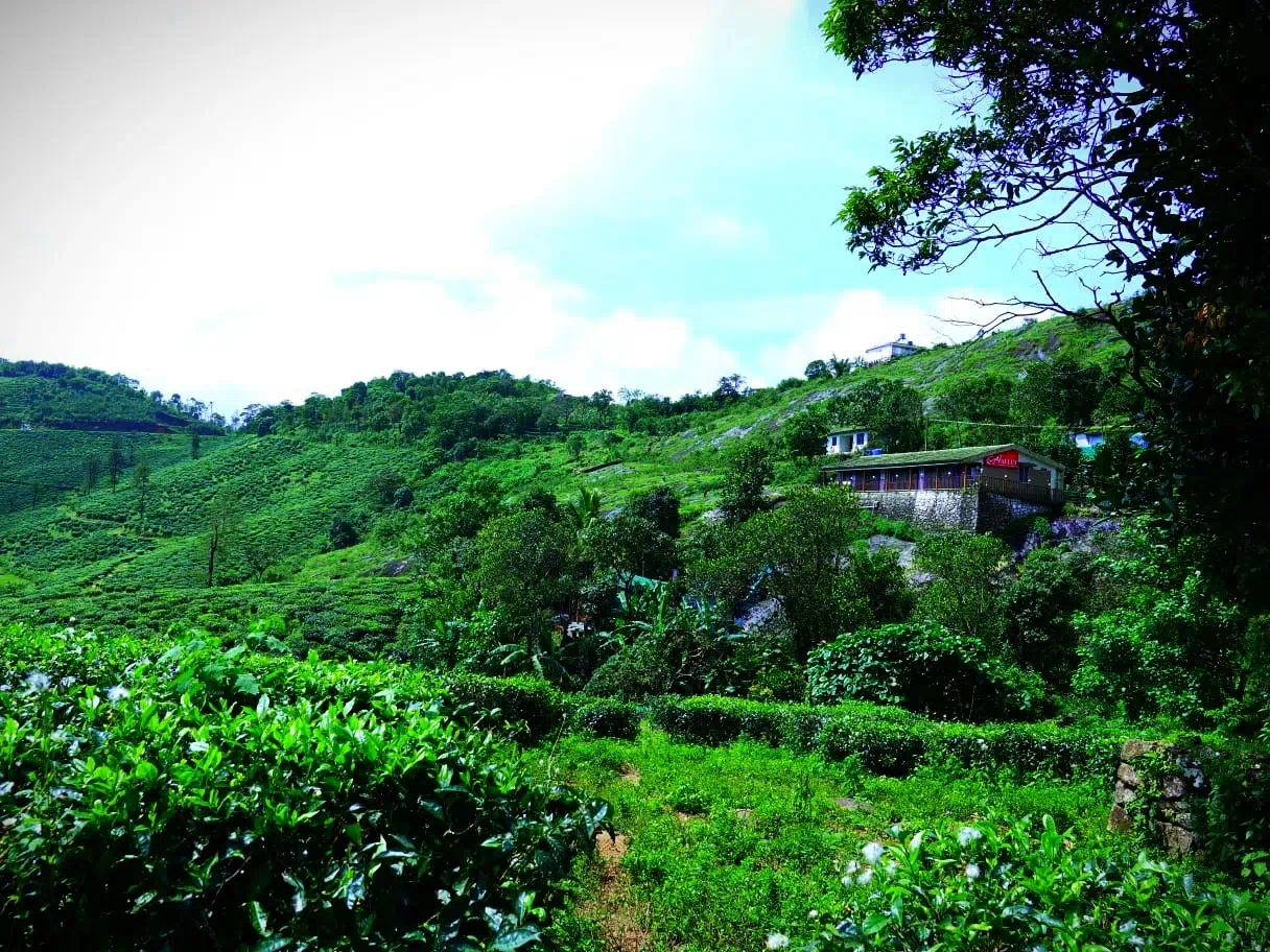 Hotel image 10