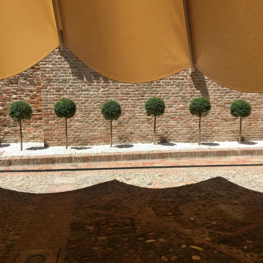 Hotel image 16