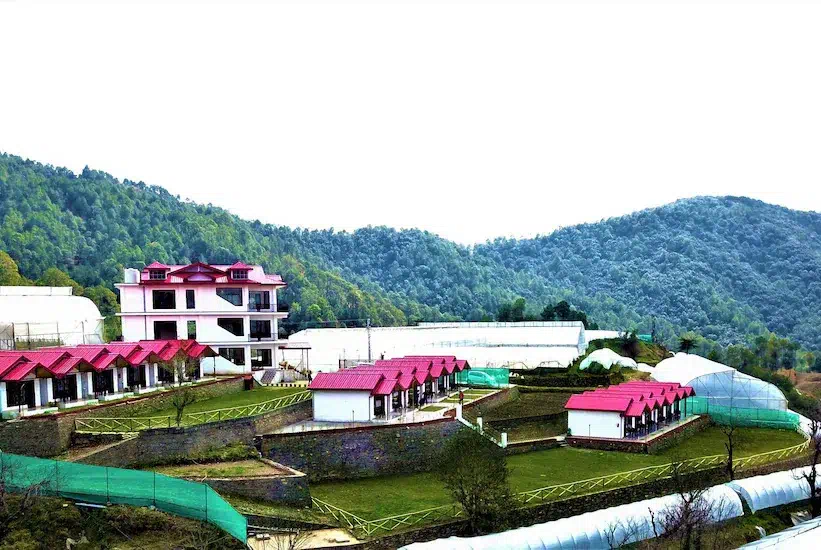Hotel image 3