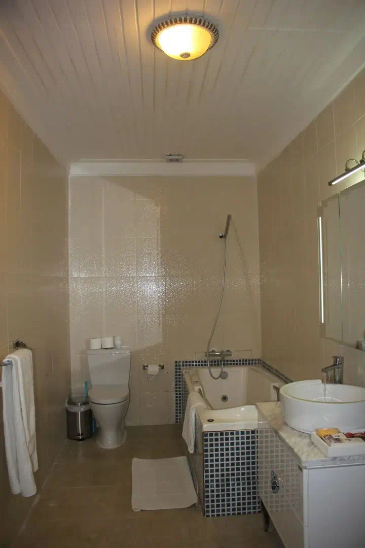 Hotel image 12