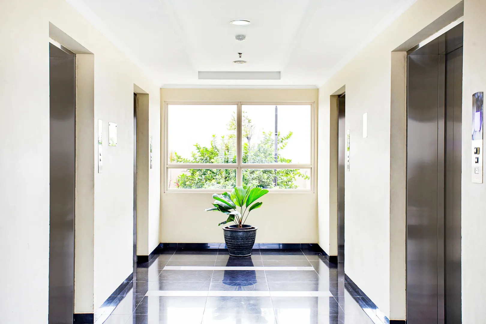 Hotel image 12