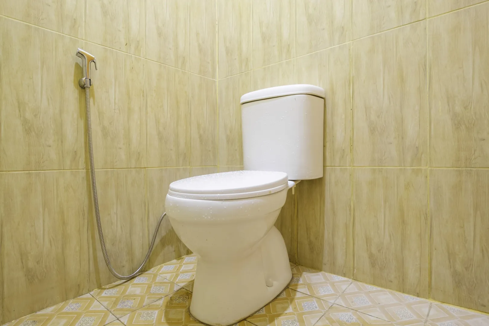 Hotel image 8