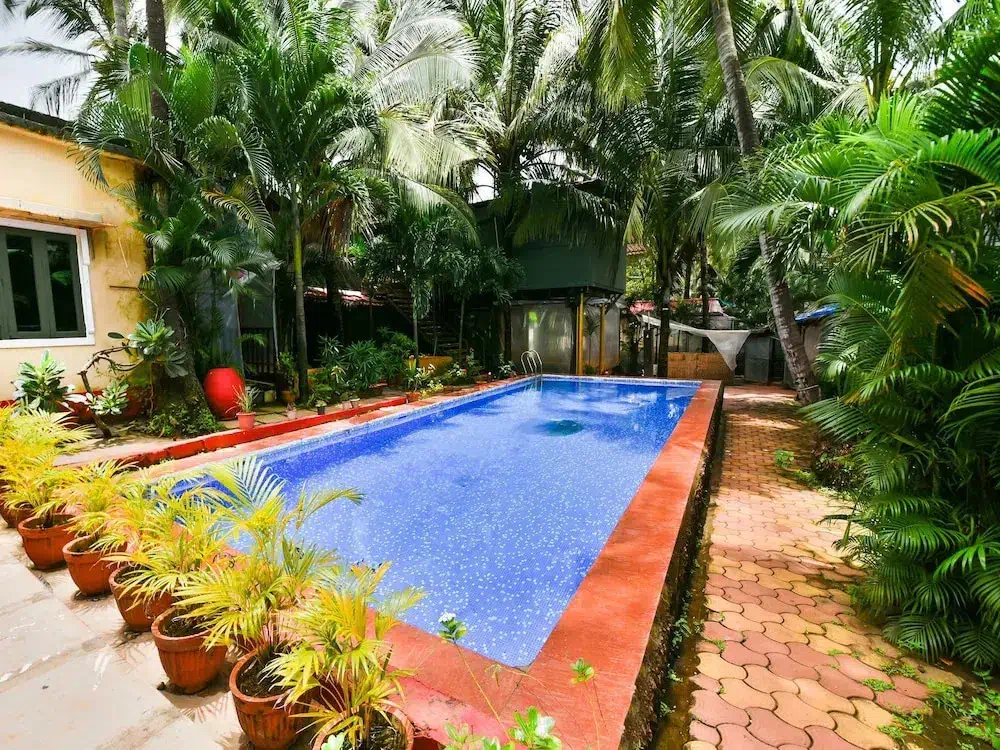 Hotel image 9