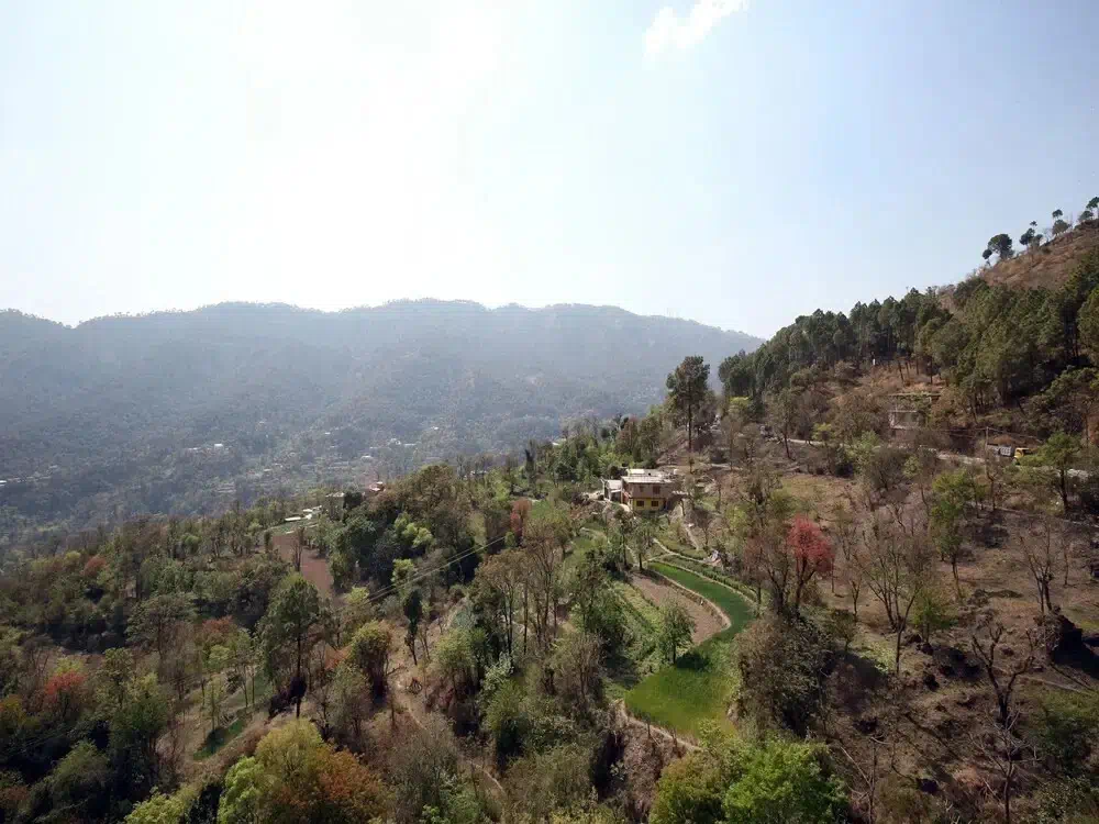 Hotel image 12