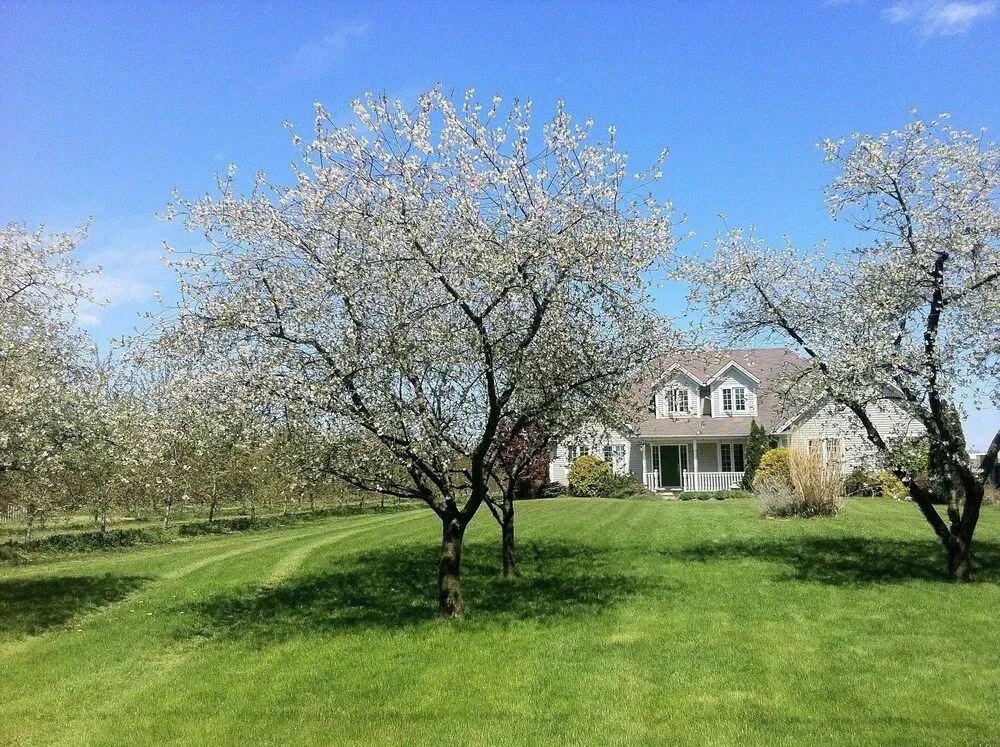 Hotel image 15