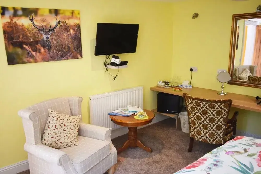 Hotel image 13