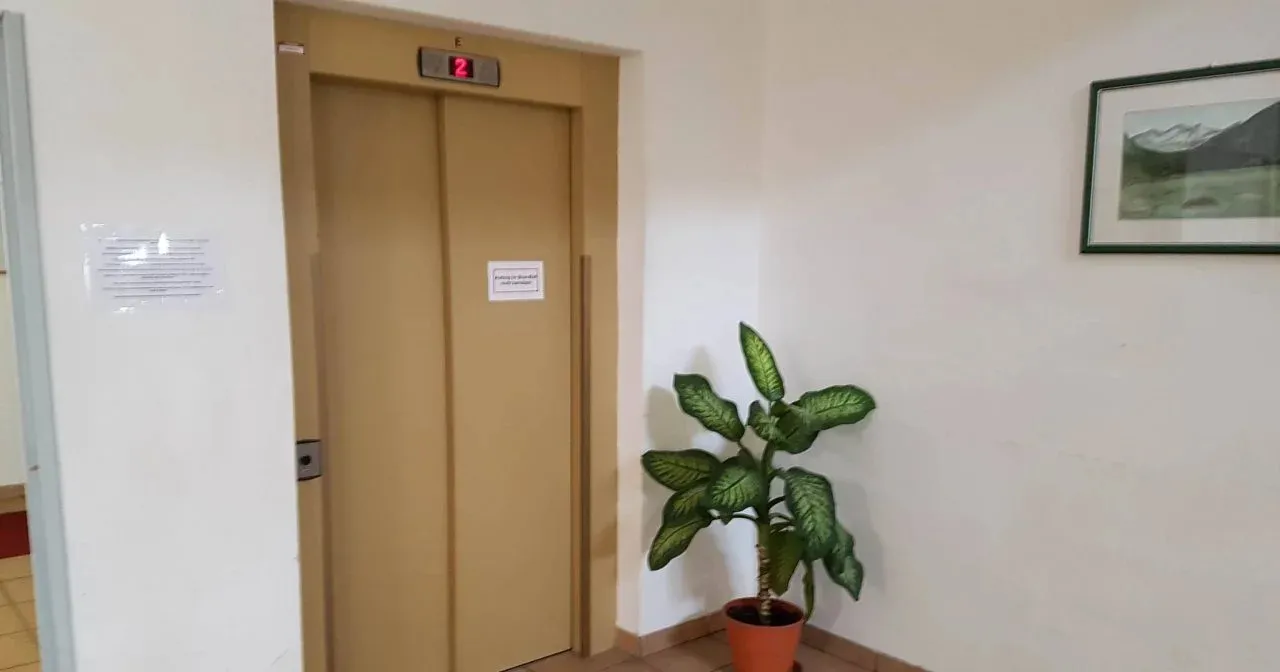 Hotel image 12