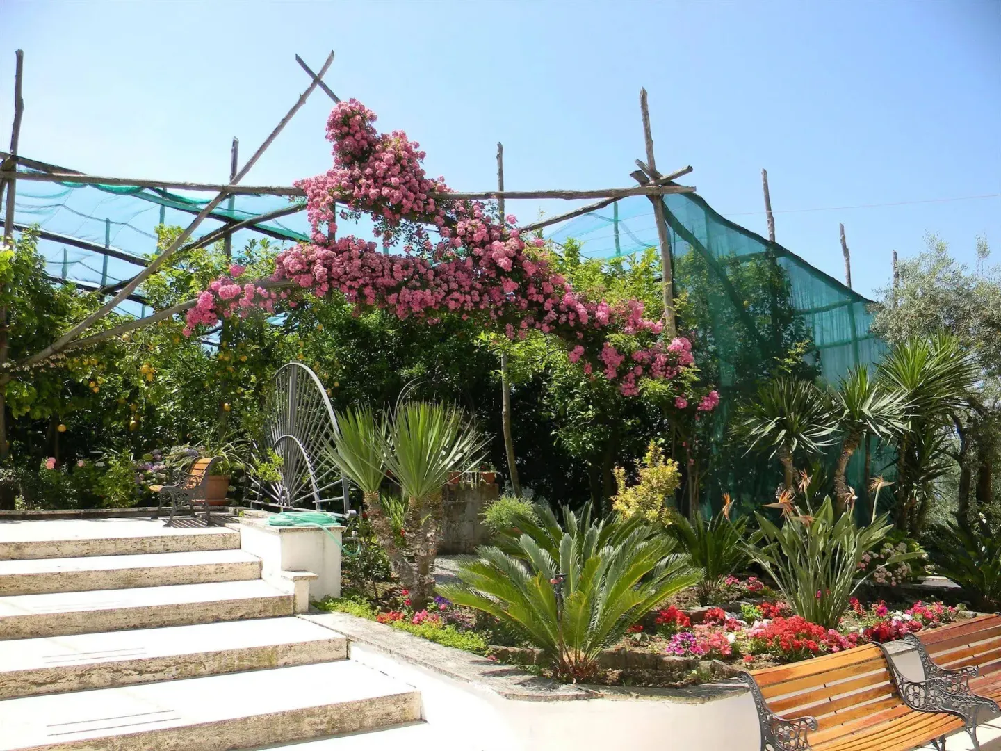 Hotel image 12