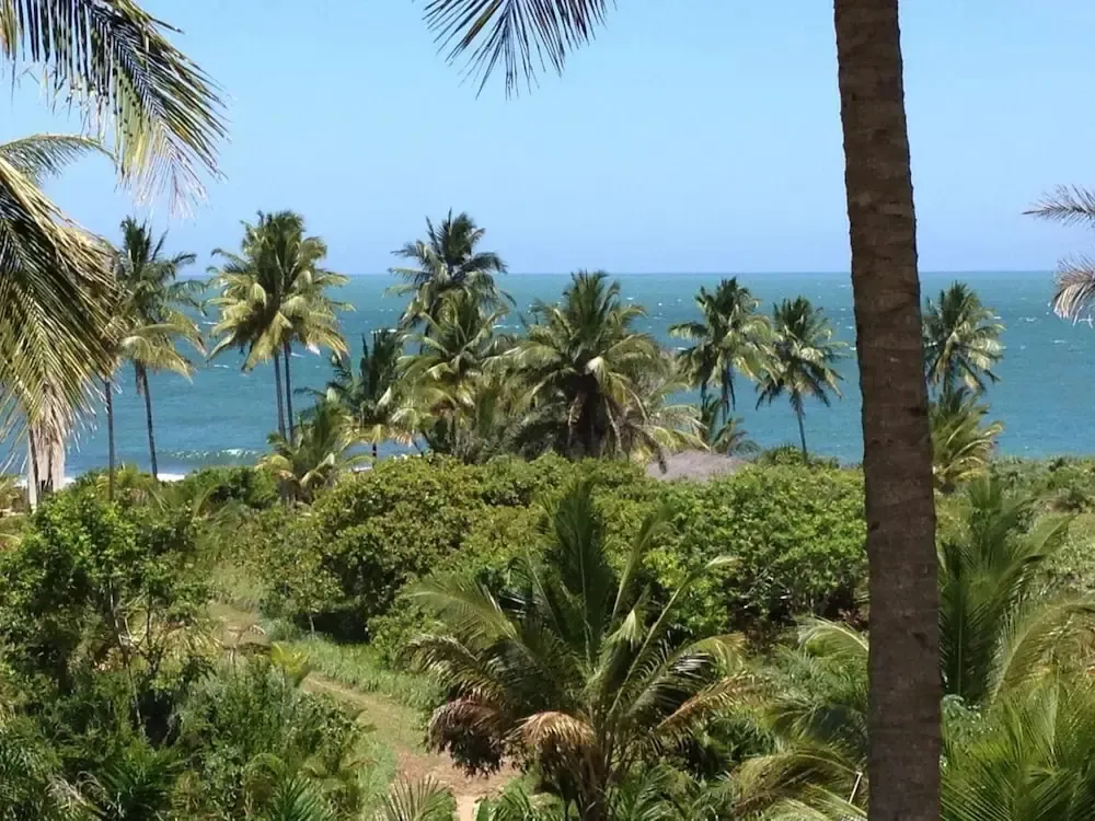 Hotel image 16