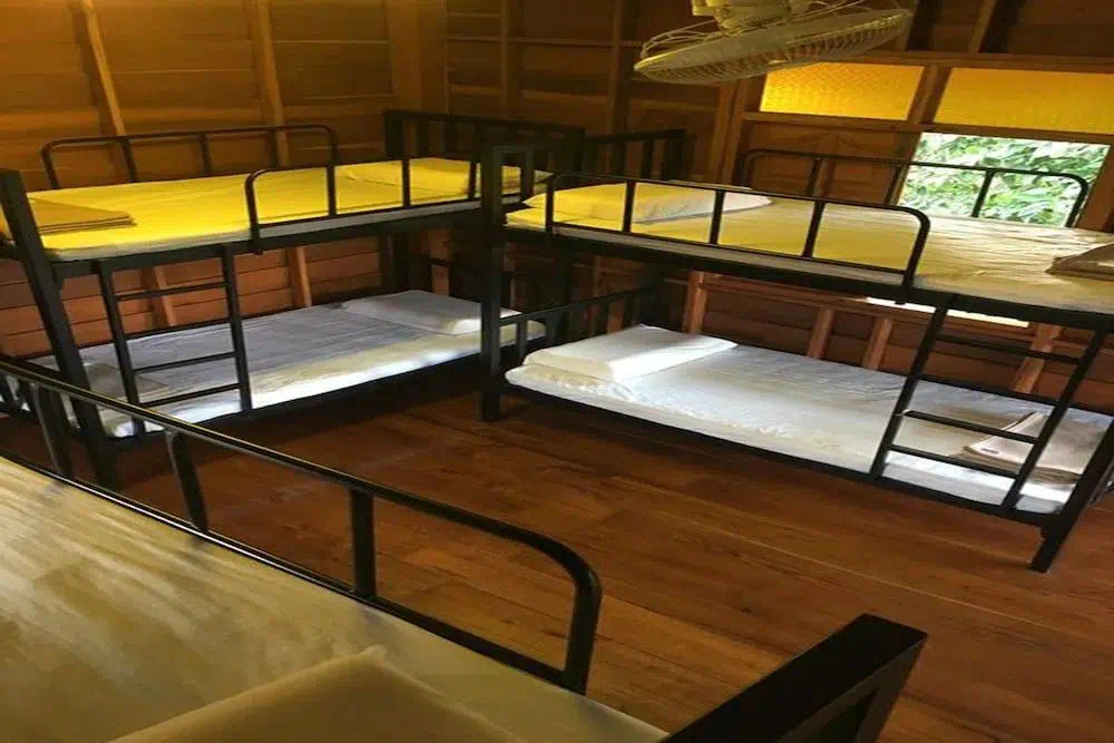 Hotel image 13