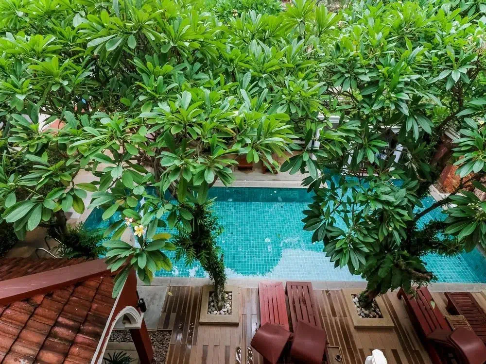 Hotel image 15