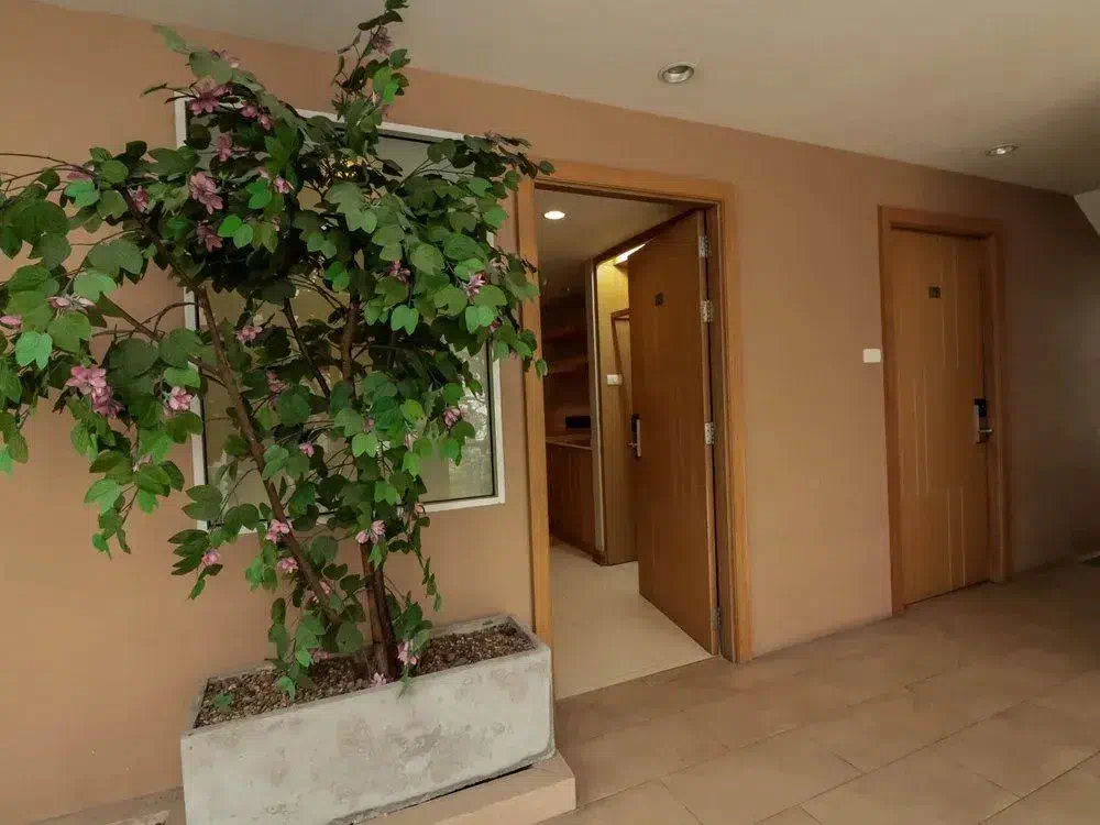 Hotel image 7