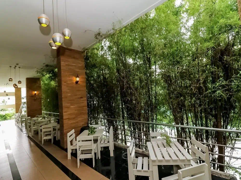 Hotel image 14