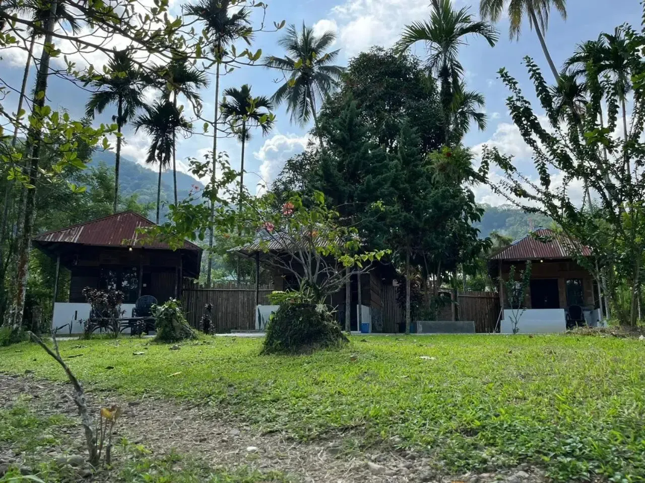 Hotel image 13