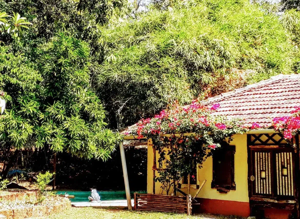 Hotel image 14