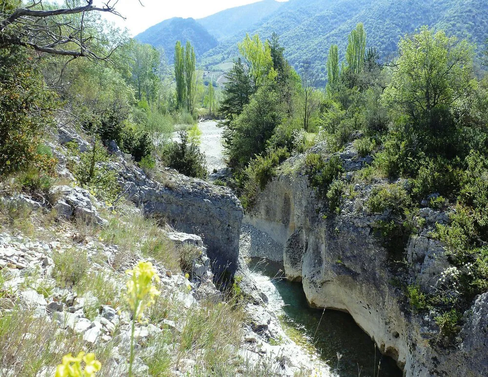 Hotel image 13
