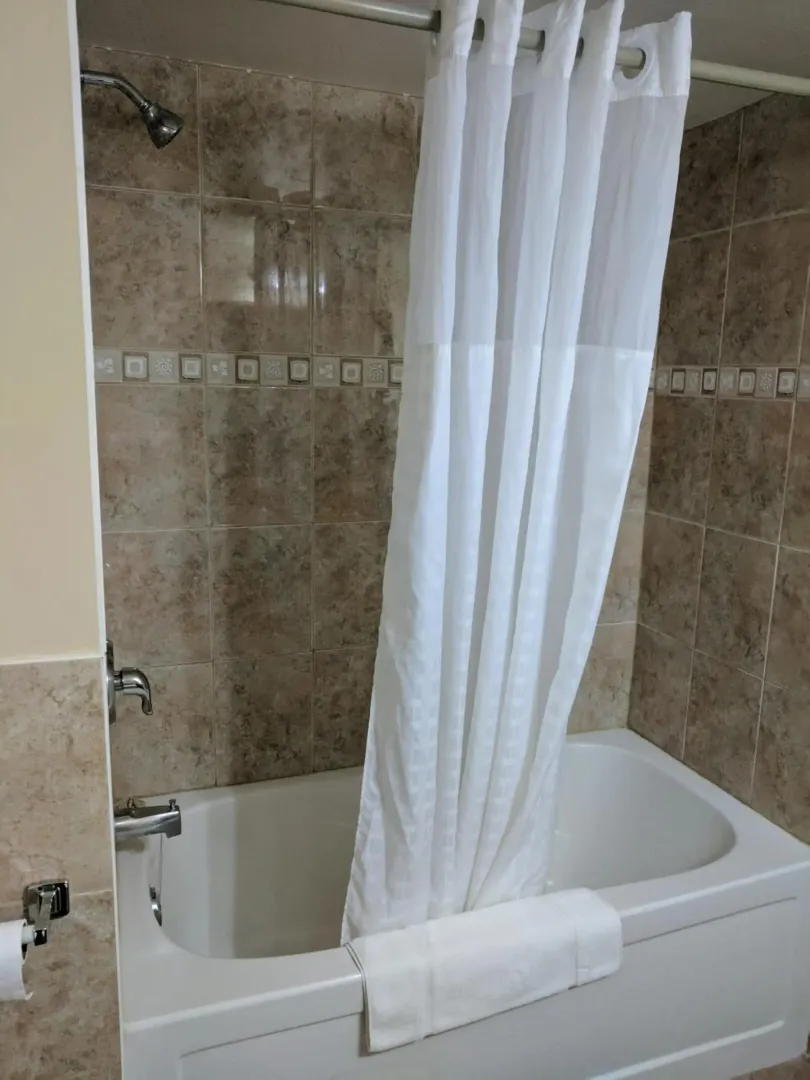 Hotel image 10
