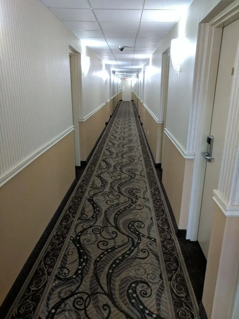 Hotel image 12