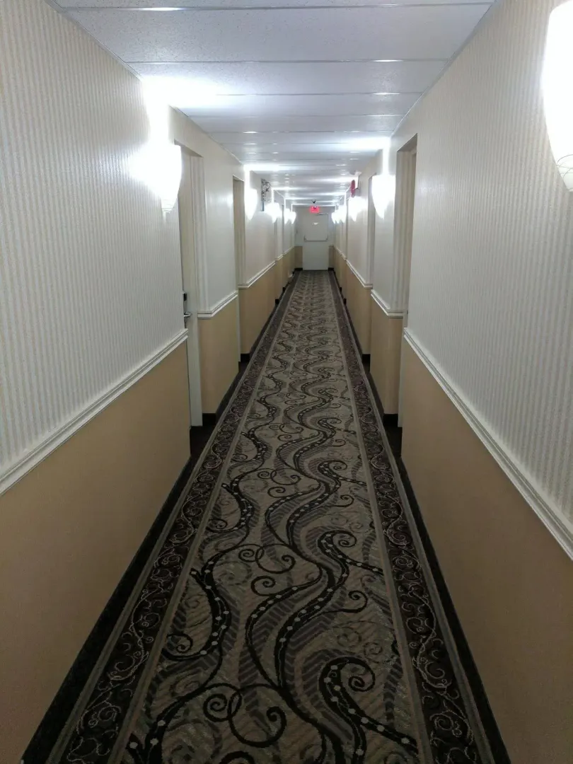 Hotel image 13