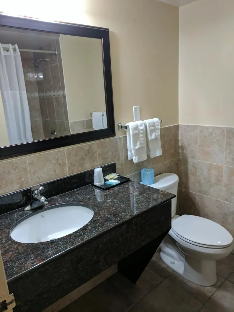Hotel image 8
