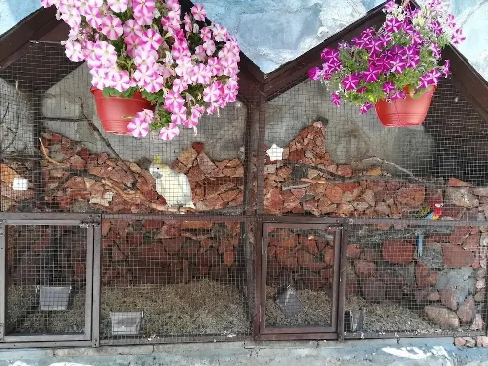 Hotel image 12