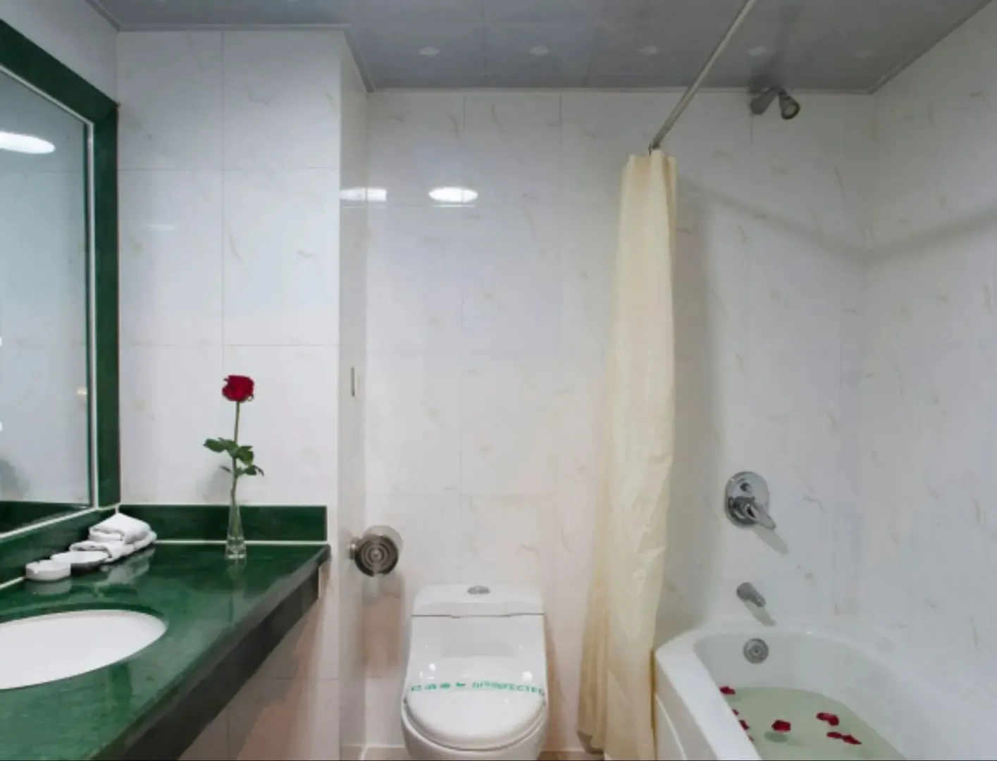 Hotel image 8