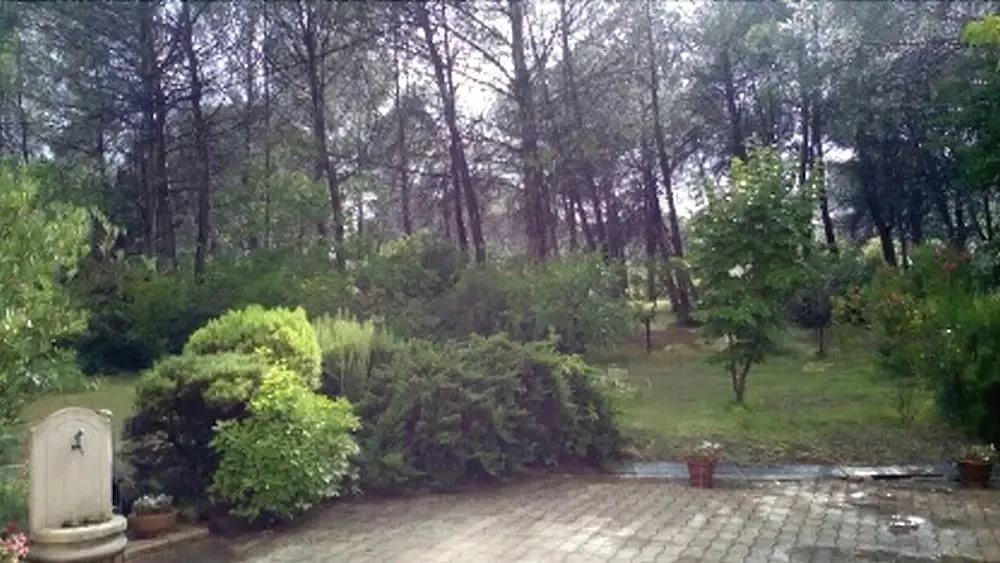 Hotel image 10
