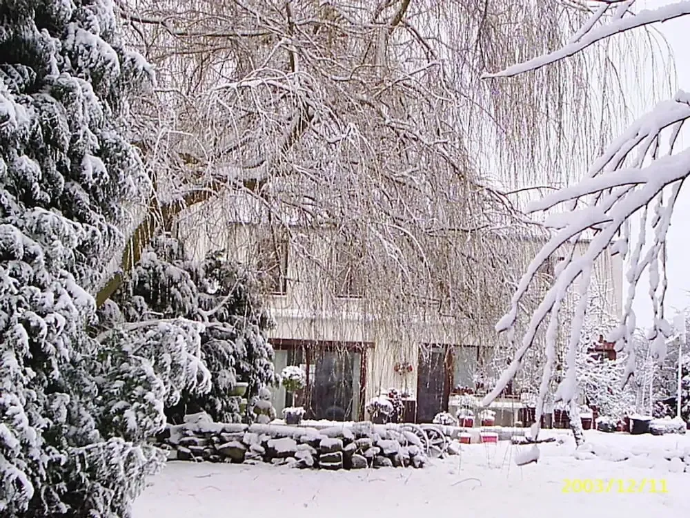 Hotel image 12