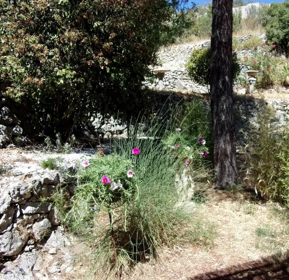 Hotel image 16