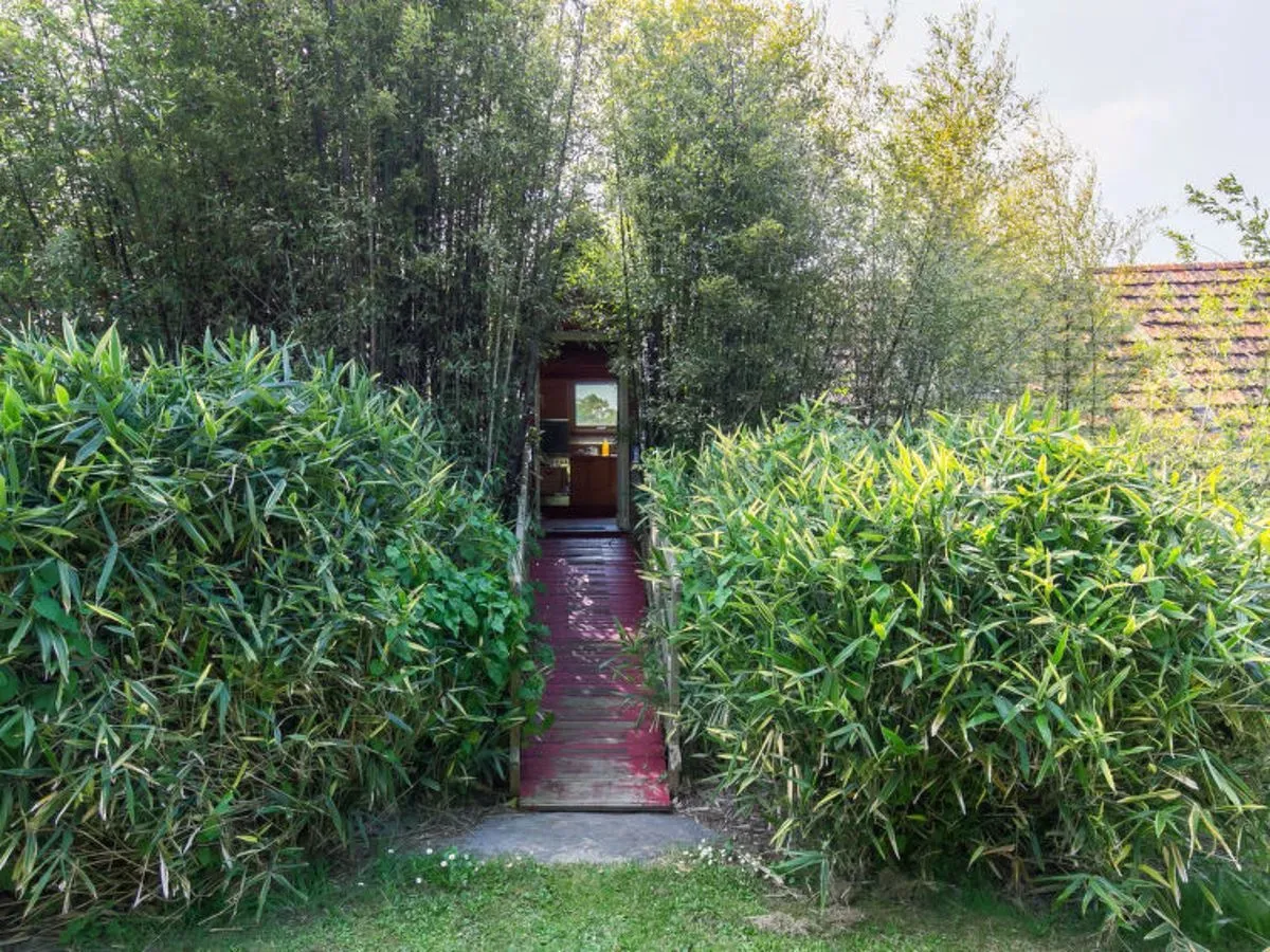 Hotel image 16