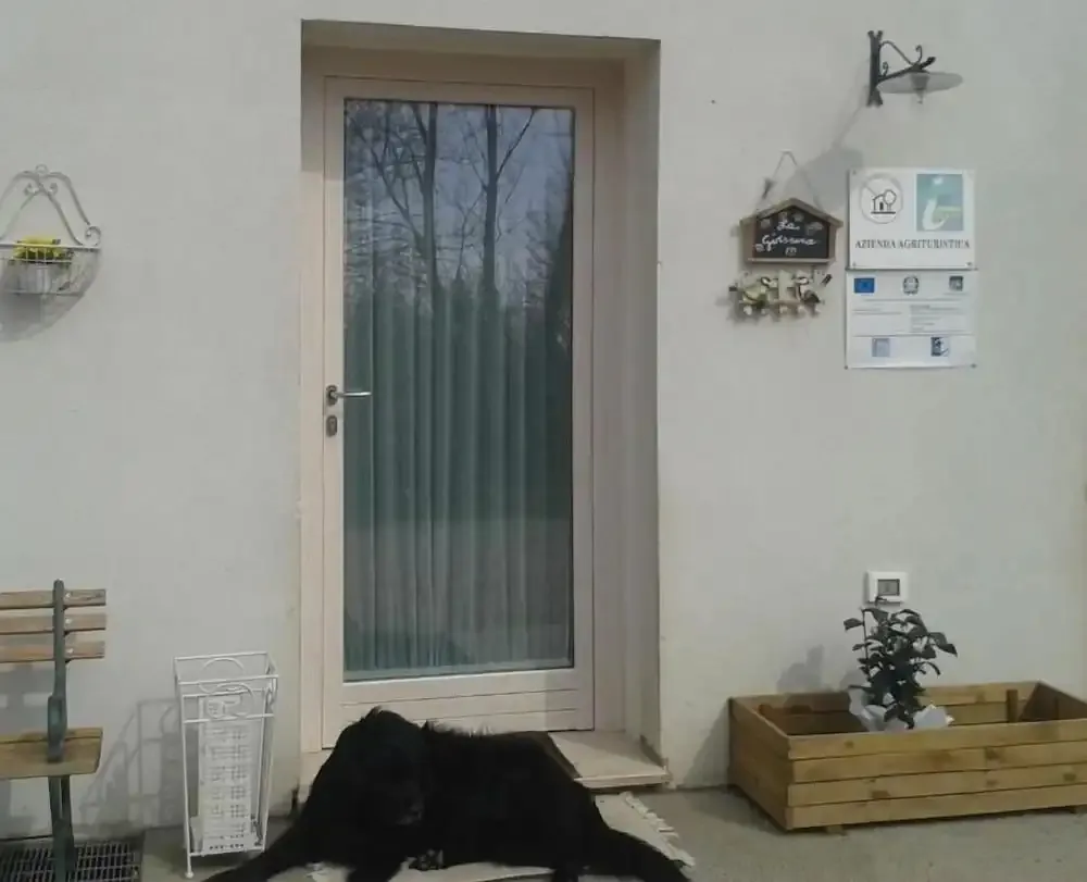Hotel image 12